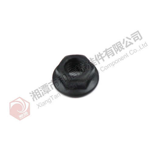 Q32006F61 六角法蘭面螺母 M6.JPG Q32006F61 六角法蘭面螺母 M6.JPG